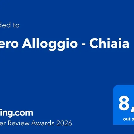 公寓 Intero - Chiaia 那不勒斯